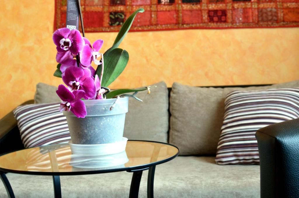 Flamingo Vendeghaz Bed & Breakfast Eger Exterior photo